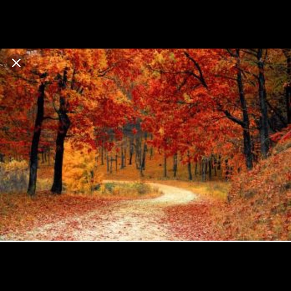 Hi I’m Lyn - Picture 8 of 8